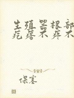 生殖器根部有小疙瘩不疼不痒