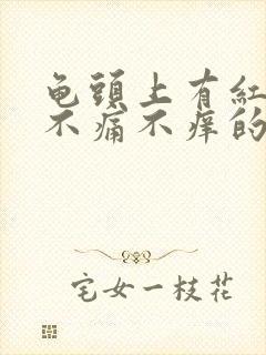 龟头上有红点点不痛不痒的