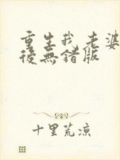 重生我老婆是天后无错版封面