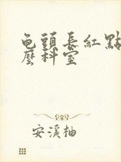 龟头长红点挂什么科室封面