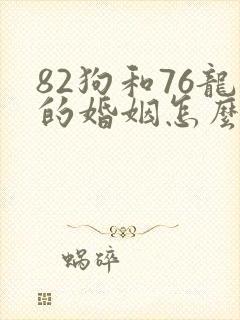 82狗和76龙的婚姻怎么样封面