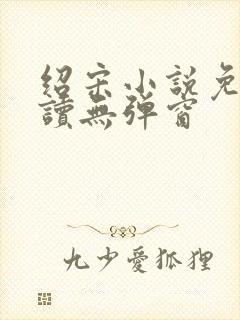 绍宋小说免费阅读无弹窗封面