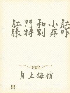 肛门和小肚子坠胀特别疼咋回事