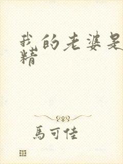 我的老婆是狐狸精封面