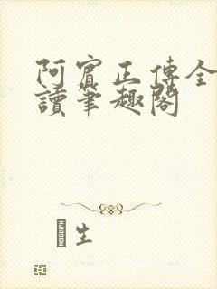 阿宾正传全文阅读笔趣阁