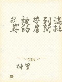 我被带到满是玩具的房间挑调游戏