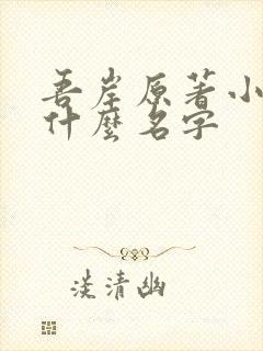 吾岸原著小说叫什么名字封面