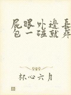 屁眼外边长了个包一碰就疼