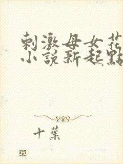 刺激母女花露露小说新起点小说