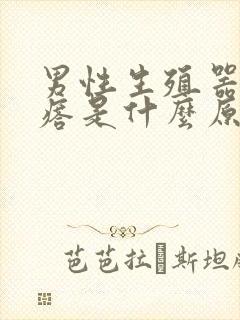 男性生殖器长疙瘩是什么原因引起的封面