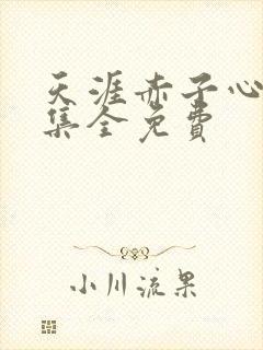 天涯赤子心40集全免费