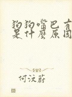 狗狗嘴巴有腥味是什么原因封面