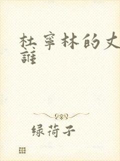 杜宁林的丈夫是谁