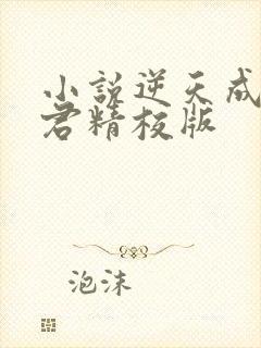 小说逆天成神贤君精校版