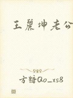 王丽坤老公是谁