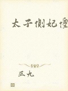 太子侧妃傻乎乎封面