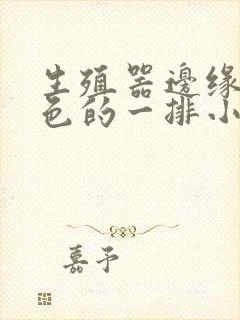 生殖器边缘长白色的一排小疙瘩