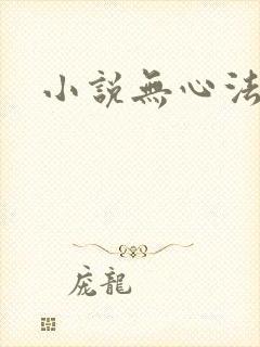 小说无心法师