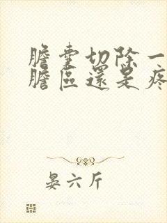 胆囊切除一年多胆区还是疼