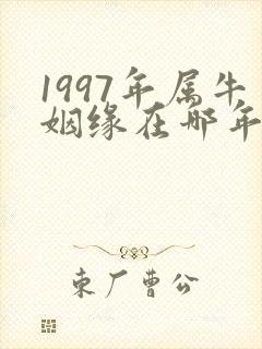1997年属牛姻缘在哪年