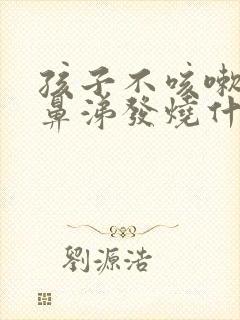 孩子不咳嗽不流鼻涕发烧什么原因