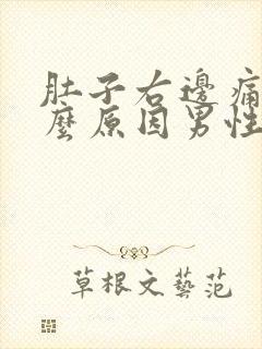 肚子右边痛是什么原因男性