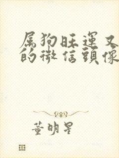 属狗旺运又旺财的微信头像