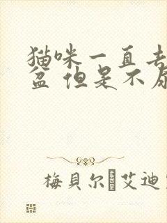 猫咪一直去猫砂盆 但是不尿