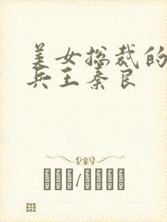 美女总裁的贴身兵王秦良