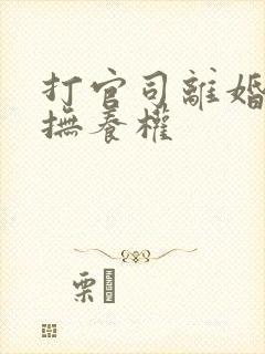 打官司离婚争夺抚养权