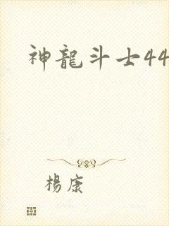 神龙斗士44