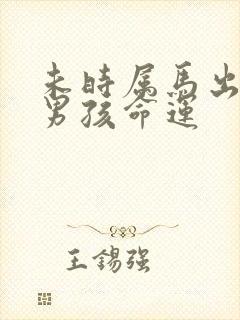 未时属马出生的男孩命运