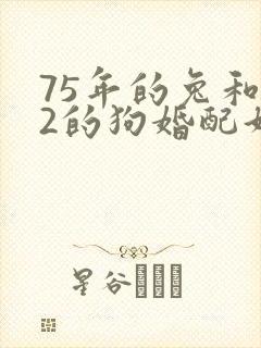 75年的兔和82的狗婚配好吗