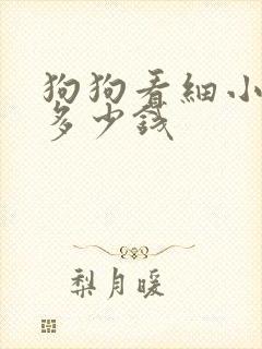 狗狗看细小要花多少钱