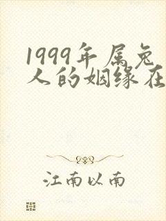 1999年属兔人的姻缘在哪年