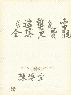 《追击》电视剧全集免费观看