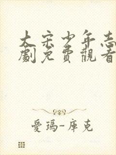 大宋少年志电视剧免费观看全集在线播放