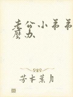 老公小弟弟小怎么办封面