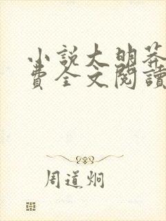 小说大明莽夫免费全文阅读一