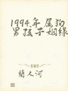 1994年属狗男孩子姻缘2022封面