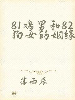 81鸡男和82狗女的姻缘破解封面