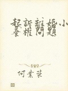 起诉离婚小孩抚养权问题