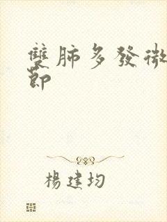 双肺多发微小结节