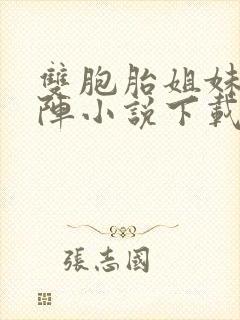 双胞胎姐妹齐上阵小说下载