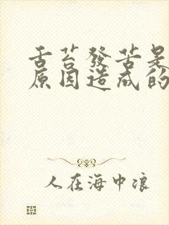 舌苔发苦是什么原因造成的封面