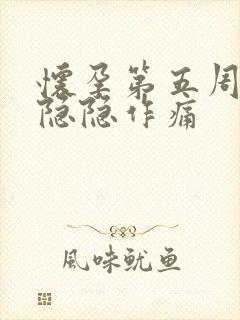 怀孕第五周肚子隐隐作痛封面