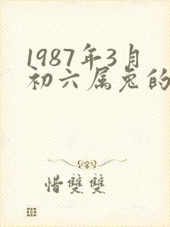 1987年3月初六属兔的命运