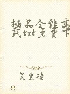 极品全能高手下载txt免费下载