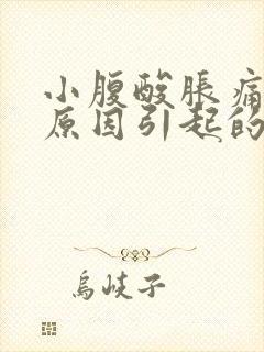 小腹酸胀痛什么原因引起的