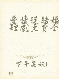 爱情从结婚开始短剧免费全集免费播放